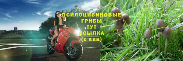 каннабис Баксан