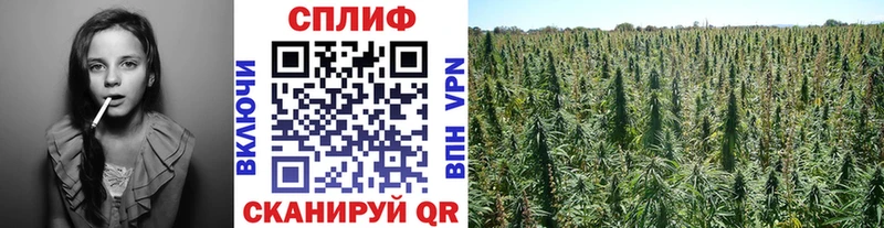 Канабис MAZAR Лаишево
